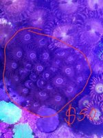 20160903_092044.jpg