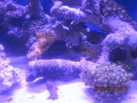 IMG_1787.JPG