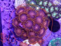 20160903_092137.jpg
