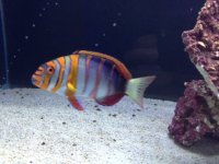 IMG_3089.JPG