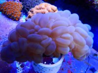 DSCN3860.JPG