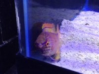 IMG_3073.JPG