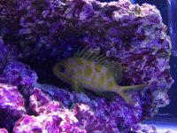 IMG_3072.JPG