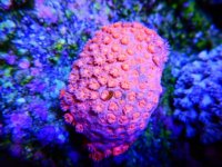 DSCN3871.JPG