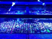 IMG_3034.JPG