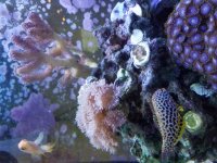 20160903_142710.jpg
