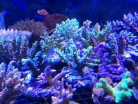 IMG_3028.JPG