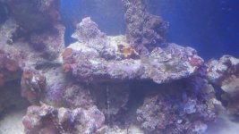 tank14.jpg