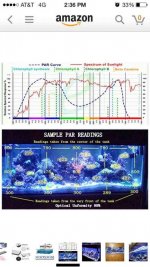 ImageUploadedByReefs2015-06-24 16:00:02 EDT.jpg