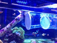 IMG_3159.JPG