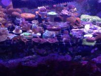 IMG_1189.jpg