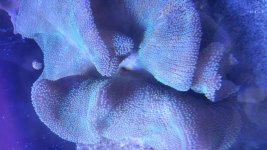 20150624_181423.jpg