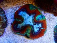 DSCN3909.JPG