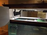 tank2.jpg