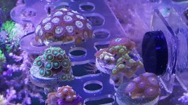 20160204_151434.jpg