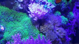 20160204_151538.jpg