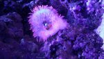 20151120_154850.jpg