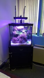20160204_151659.jpg