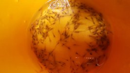 20160904_184017.jpg