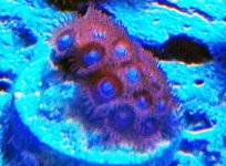 DSCF0209.jpg