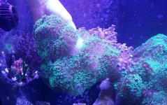 VZM.IMG_20160116_182753.jpg
