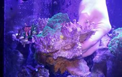 VZM.IMG_20160116_182903.jpg
