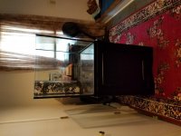 20160905_153036.jpg