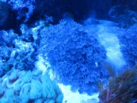 IMG_1429.jpg