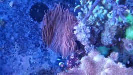 20151215_184848.jpg