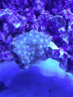 IMG_0391.jpg