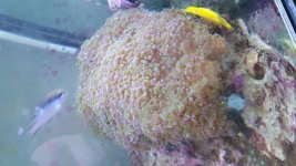 20160517_140754.jpg