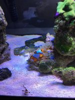 IMG_0341.jpg