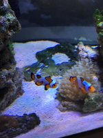 IMG_0348.jpg