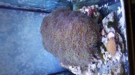 20160113_145940.jpg