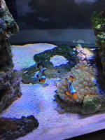 IMG_0347.jpg