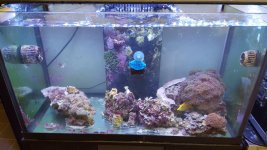 20160206_150641.jpg
