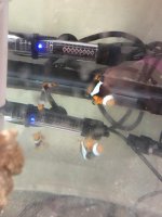 IMG_0414.jpg