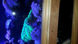 20160105_184925.jpg