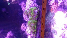 20160114_132354.jpg
