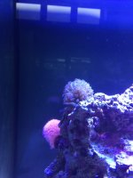 IMG_2516.JPG