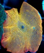 2015-02-11 17.15.54.jpg