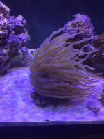 IMG_2519.JPG
