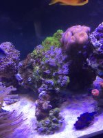 IMG_2520.JPG