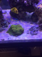 IMG_2522.JPG