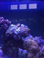 IMG_2523.JPG