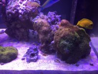 IMG_2524.JPG