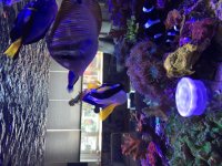 IMG_2193.jpg