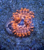IMG_6499.jpg