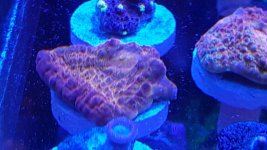 20160404_132557.jpg