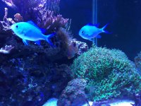 IMG_0237.jpg